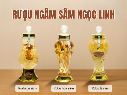 Rượu sâm Ngọc Linh là gì? Công dụng và giá bán
